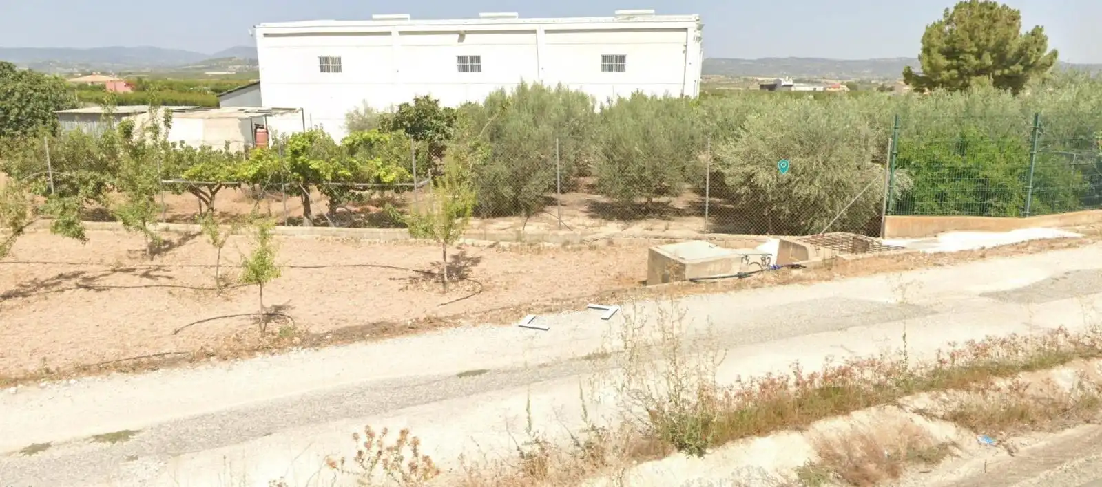 Lands and plots for sale in Pliego, imagen 2