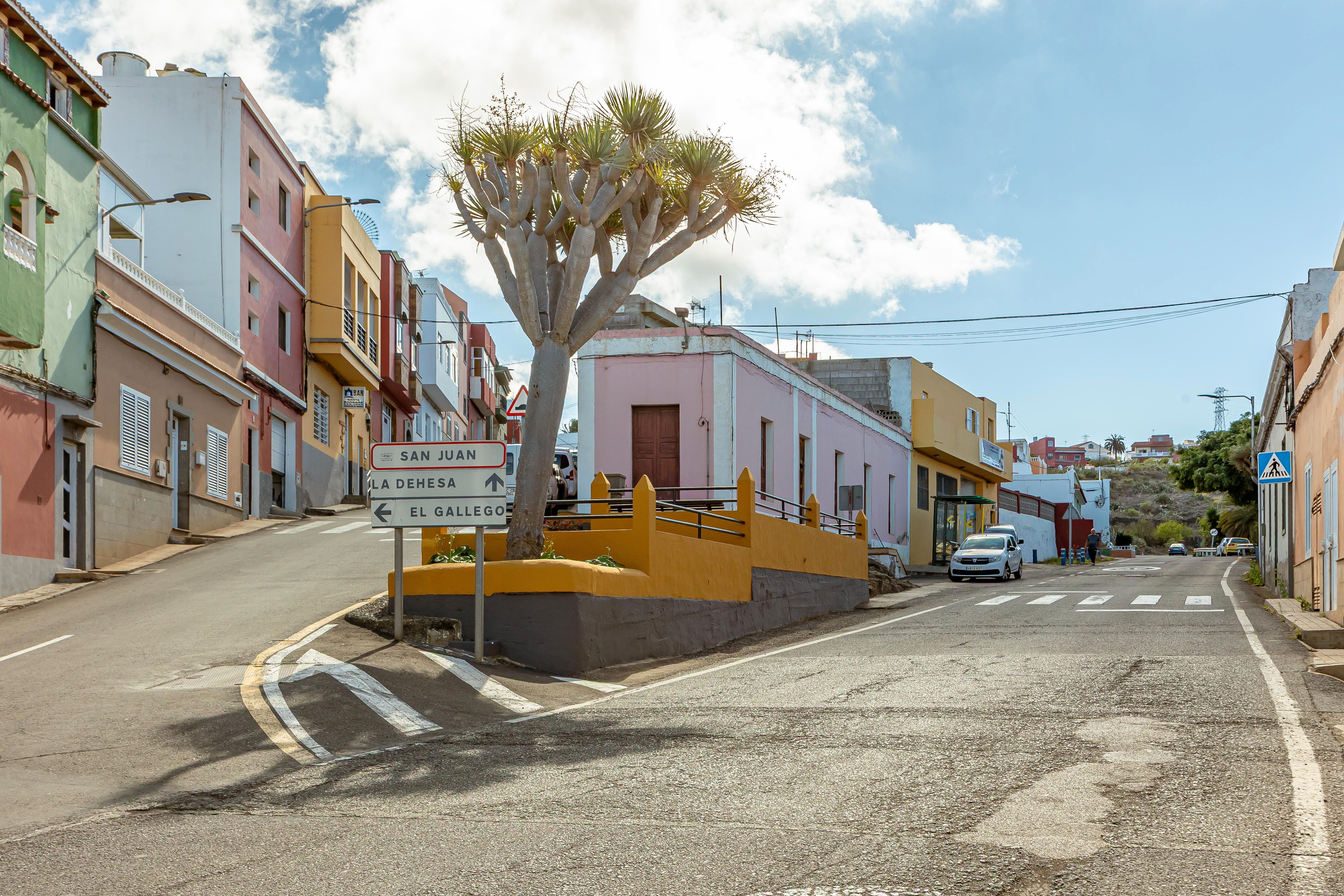 Exterior view of House or chalet for sale in Santa María de Guía de Gran Canaria  with Terrace