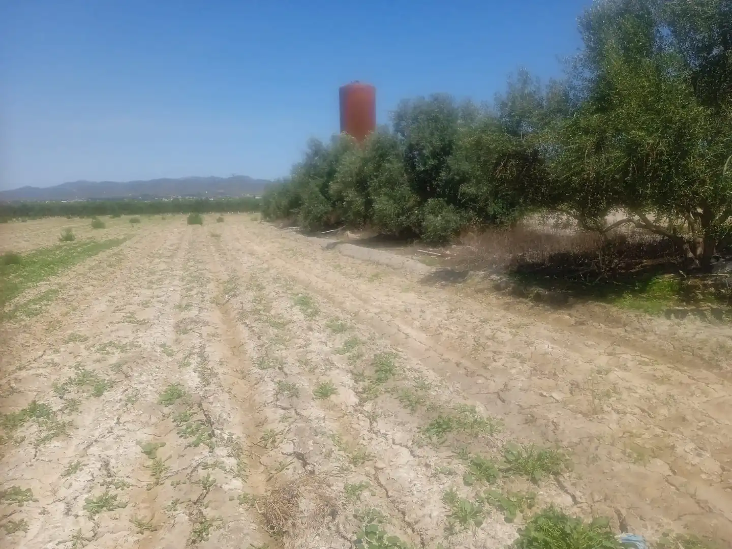 Terreni e lotti in vendita a Pedanías Sur