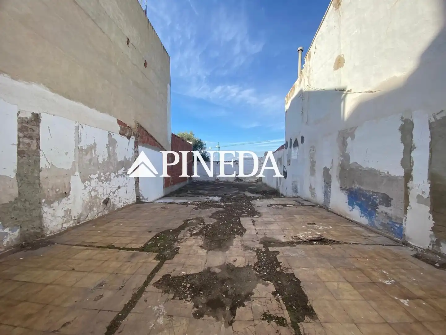 Vista exterior de Residencial en venta en El Puig de Santa Maria