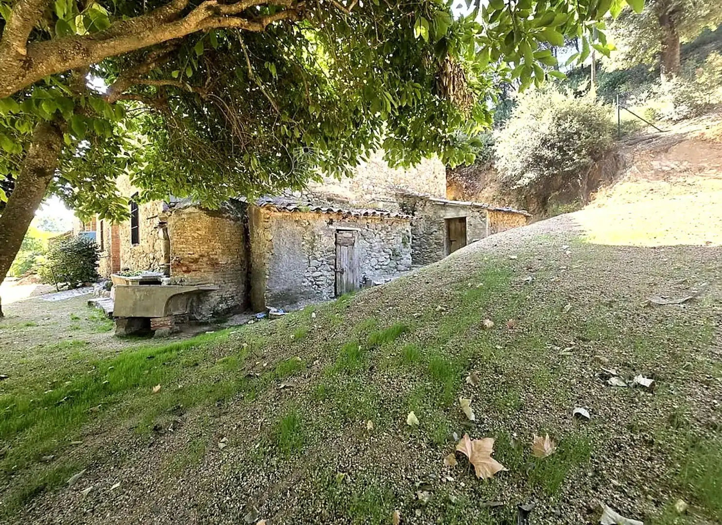 Casa rustica in vendita a Sant Gregori, imagen 26