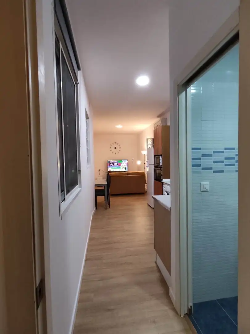Sala de estar de Apartamento de alquiler en Valencia con Terraza y Amueblado