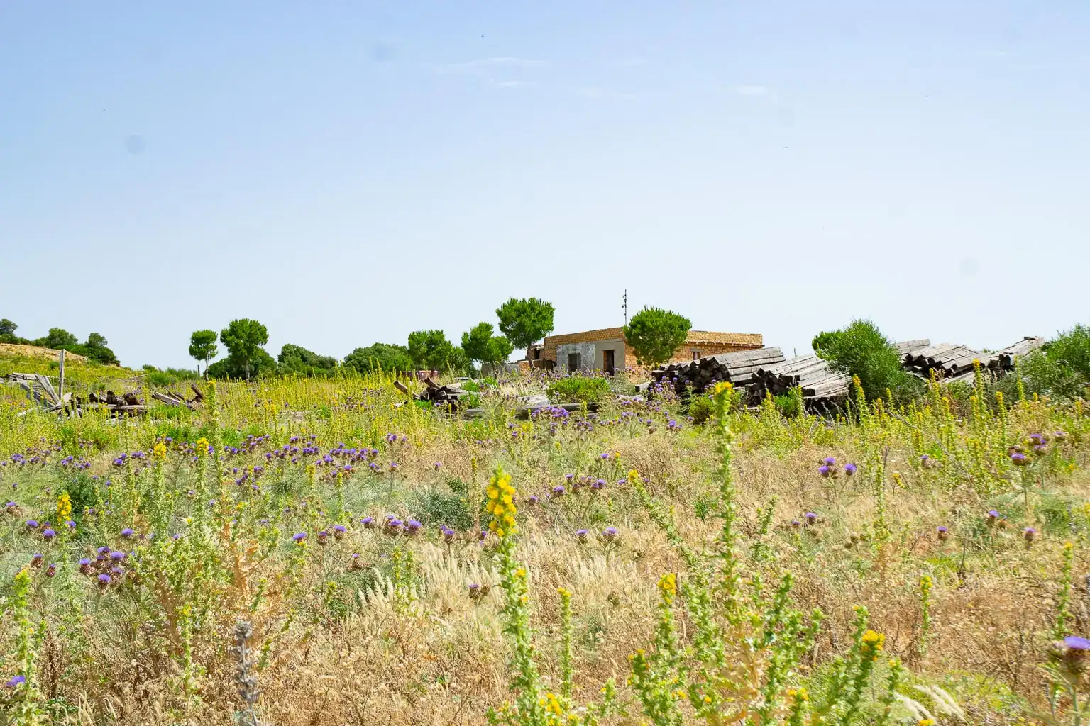 Terreny residencial en venda a Medina Sidonia, imagen 12