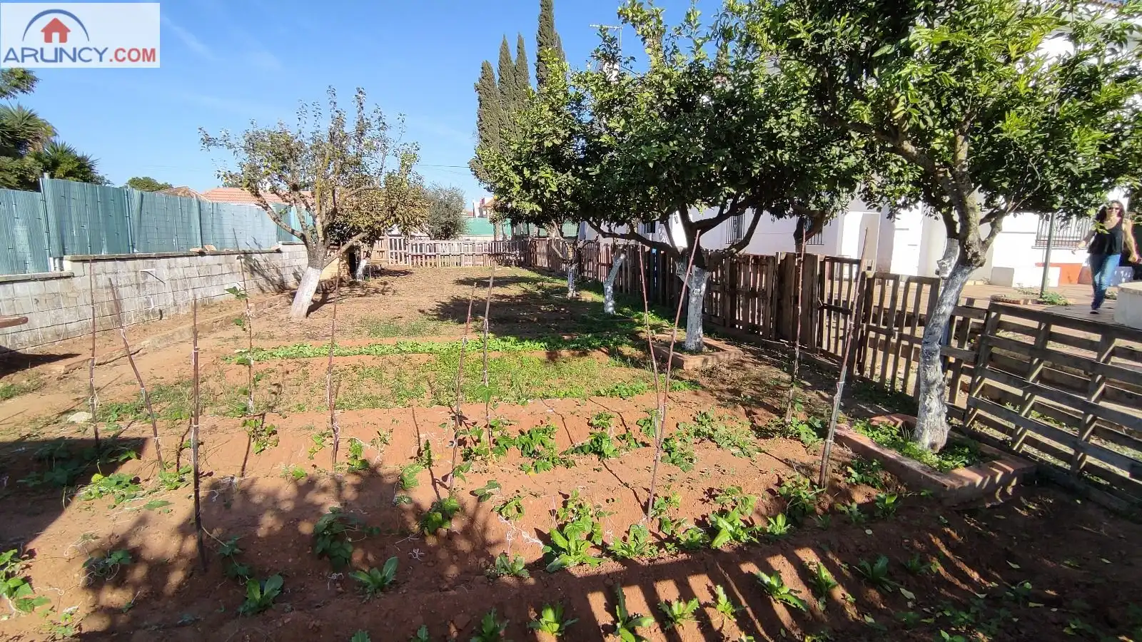 Houses for rent in La Paz