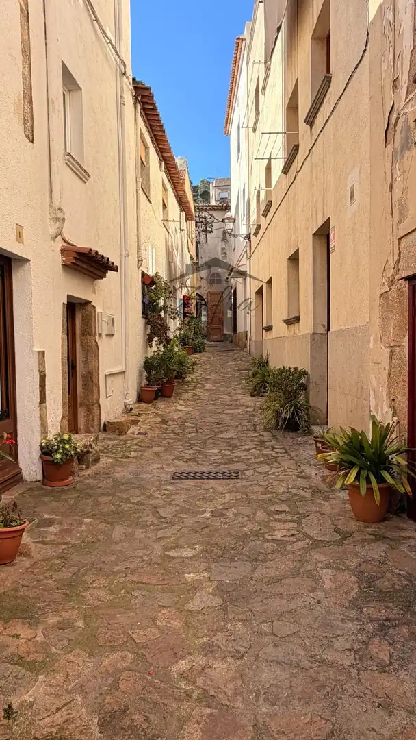 Vista exterior de Finca rústica en venda en Tossa de Mar amb Calefacció i Terrassa