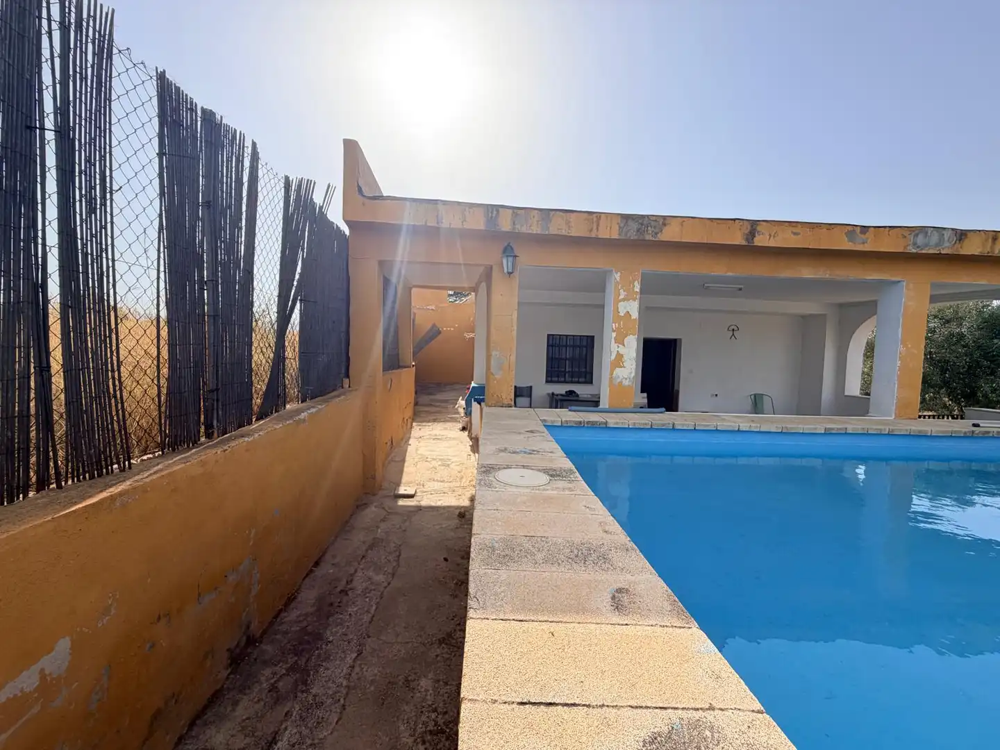 Piscina de Casa o chalet en venta en Cheste con Jardín privado y Piscina