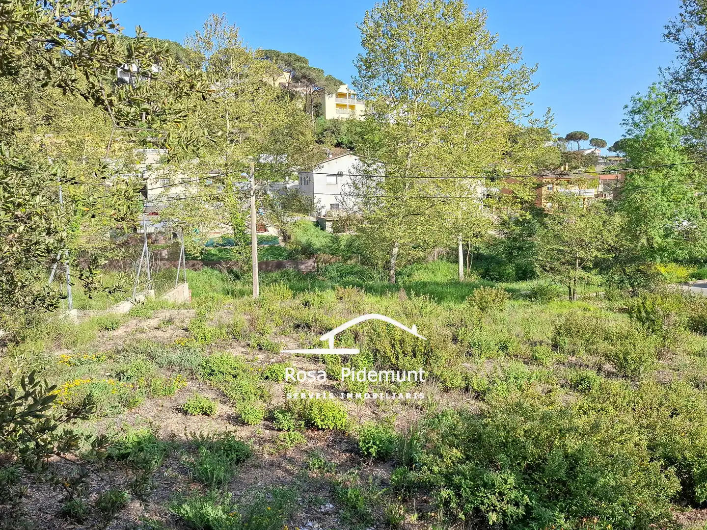 Residential land for sale in Avinguda Arbres, imagen 6