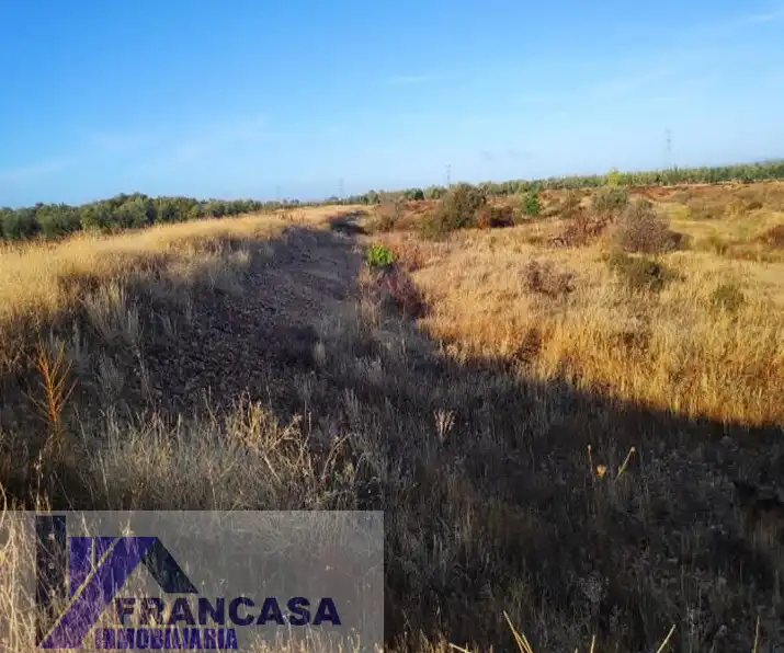 Finca rústica en venda en Navalvillar de Pela