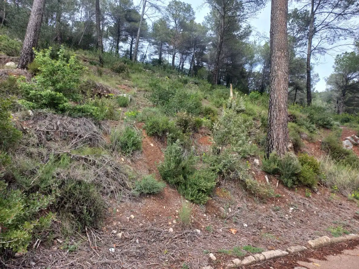 Lands and plots for sale in Bigues i Riells del Fai
