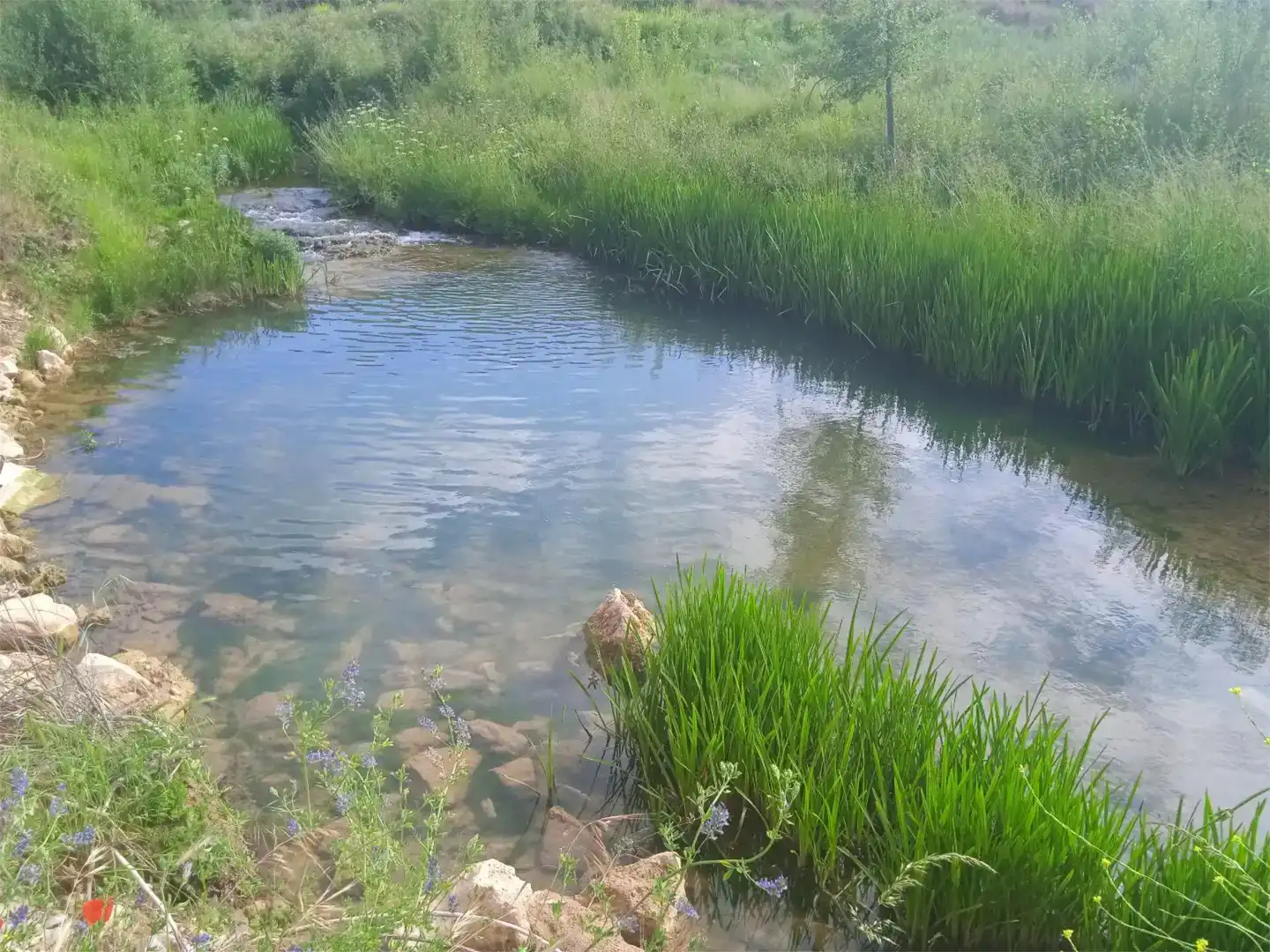 Piscina de Casa adosada en venda en Santibáñez del Val
