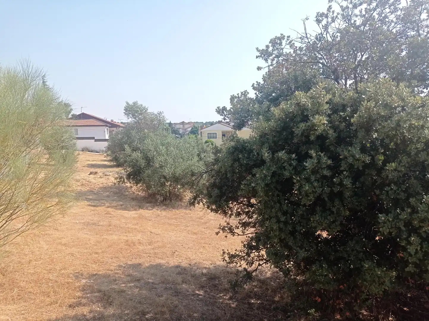 Terreni e lotti in vendita a San Martín de Valdeiglesias, imagen 14