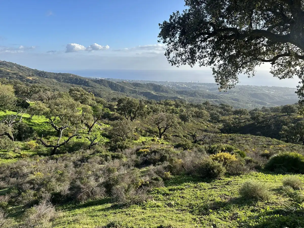Vista exterior de Residencial en venta en Ojén