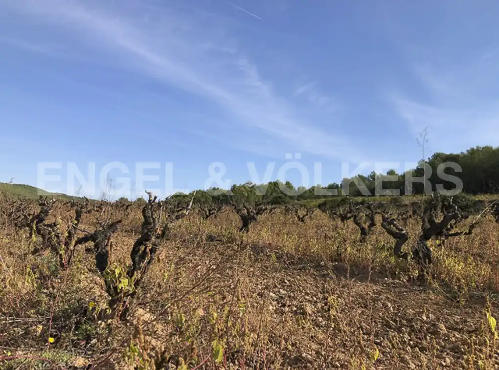 Terreny residencial en venda a Avinyonet del Penedès, imagen 29