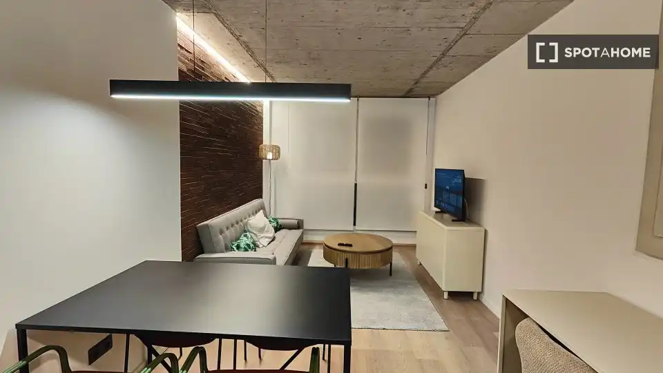 1-kambarys butas su 50 m²