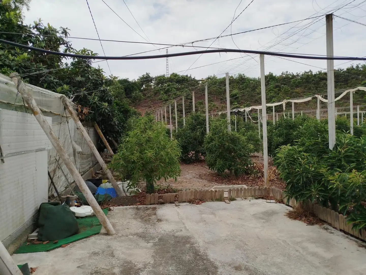 Terrain rustique à vendre à Vélez-Málaga ciudad, imagen 31