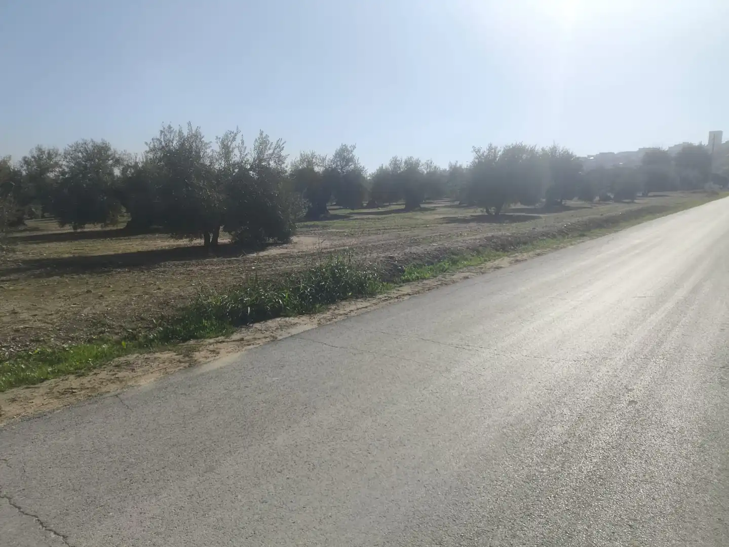 Terreni e lotti in vendita a Mengíbar, imagen 6