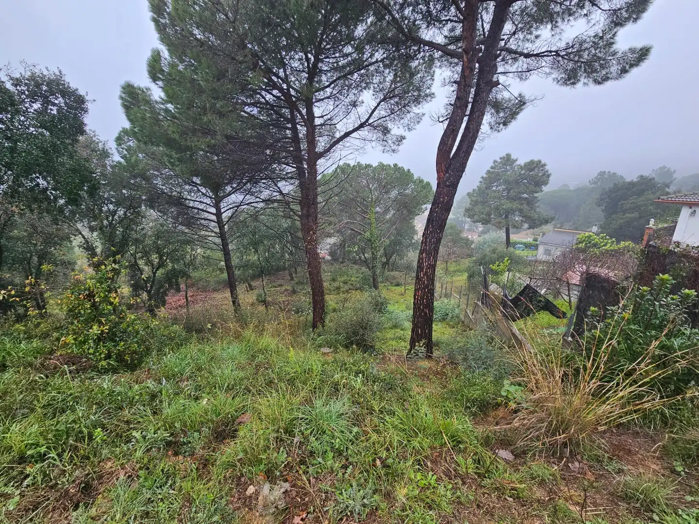 Terreno residenziale in vendita a Argimont 100, imagen 5