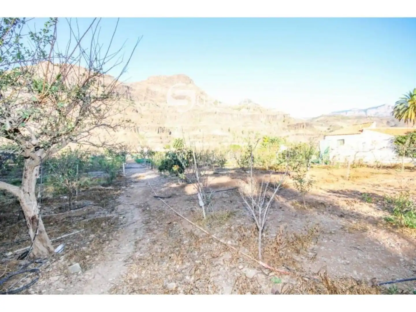 Casa o chalet en venta en DE LA CORTE, San Bartolomé Interior