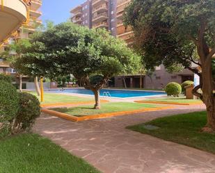 Piscina de Apartament de lloguer en Benicasim / Benicàssim amb Terrassa