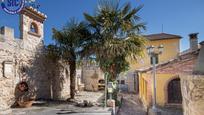 Exterior view of House or chalet for sale in Castrillo de Duero  with Heating and Private garden