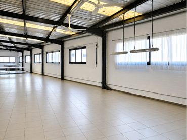 Nau industrial en venda a Pla d'en Boet