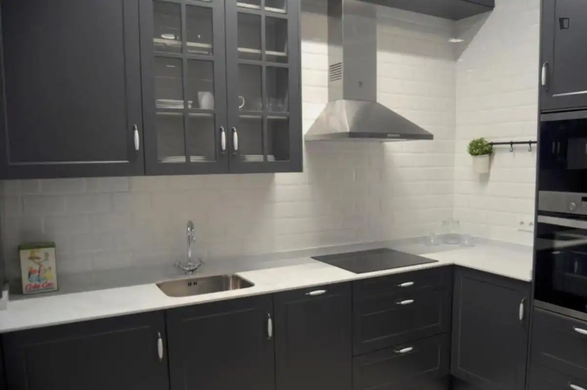 Apartments for rent in Barrio del Centro