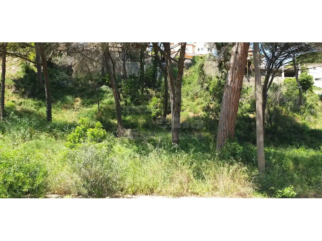 Terrain résidentiel à vendre à Platja de Pals, imagen 7