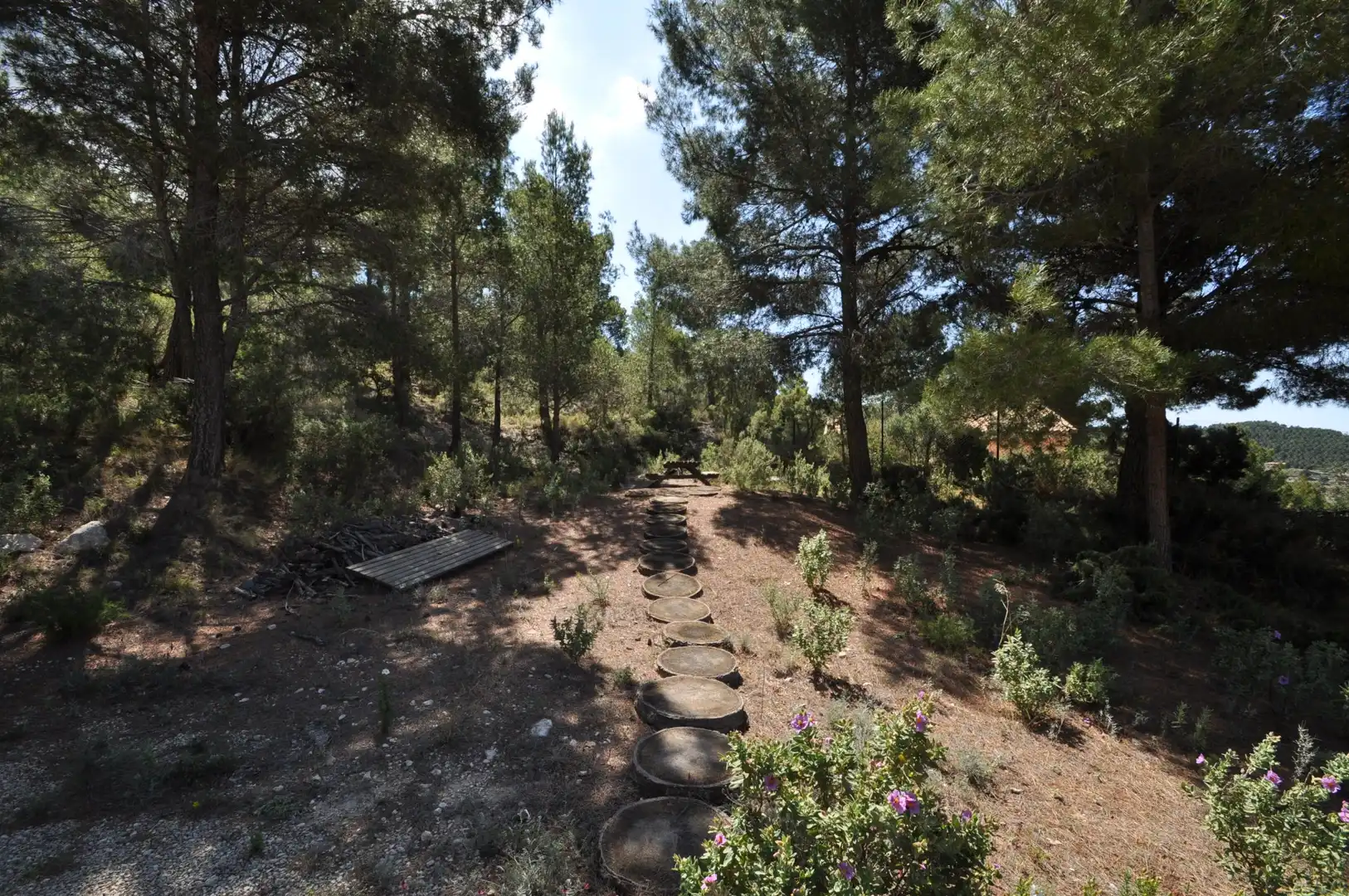 Casa o xalet en venda en Castalla amb Internet