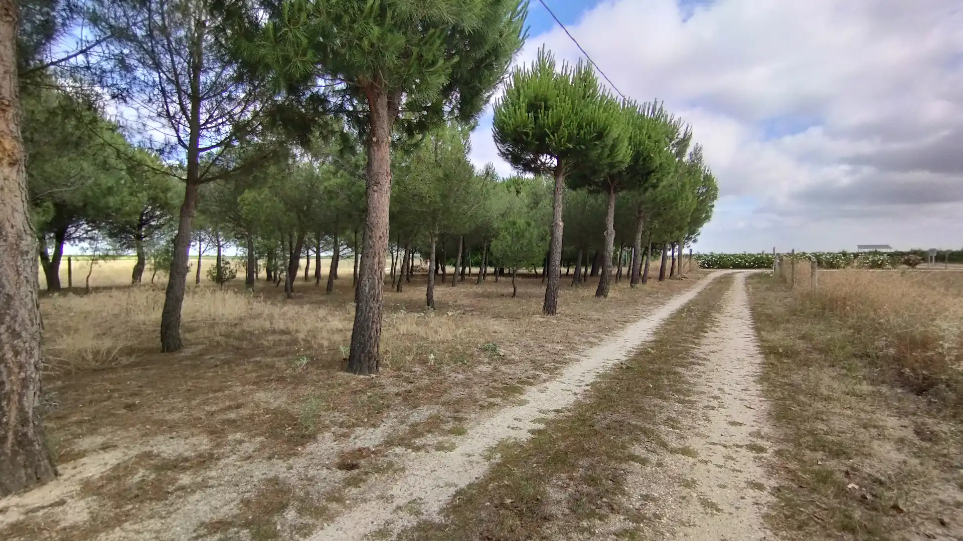 Chalet en venta en Carretera Pozaldez, imagen 3