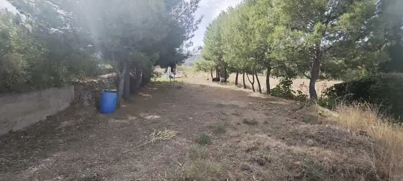 Casa o chalet en venta en Camino DISEMINADOS, Torralba de Ribota