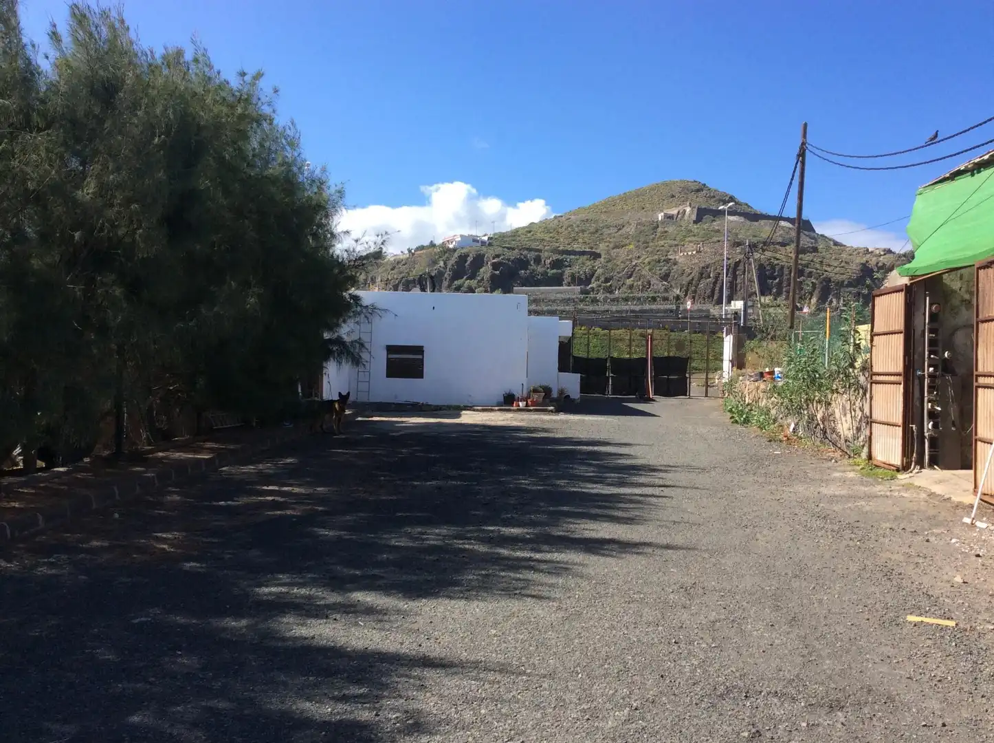 Exterior view of Country homes for sale in Arucas  with Terrace and Swimming Pool