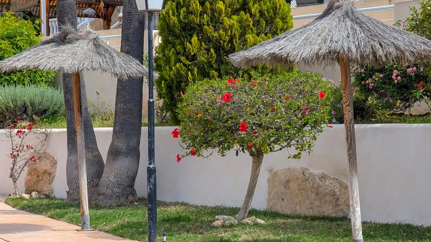 Vista exterior de Casa adosada en venta en Santa Pola con Aire acondicionado, Terraza y Piscina