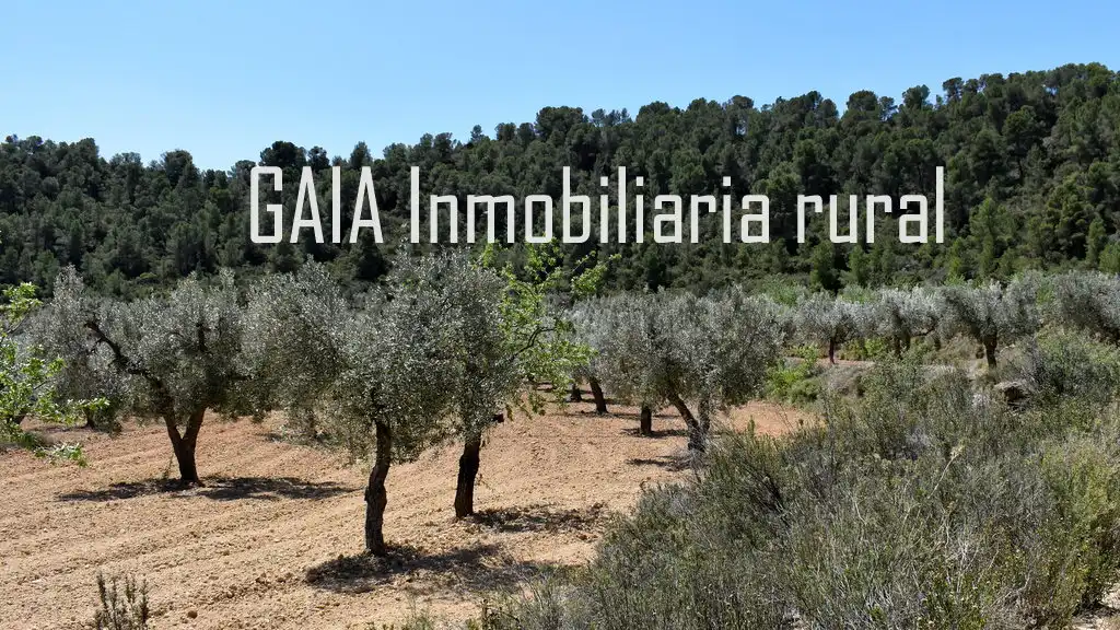 Finca rústica en venta en Mazaleón