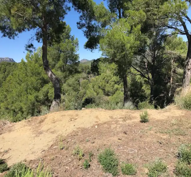 Terreno residenziale in vendita a Travadells, imagen 4