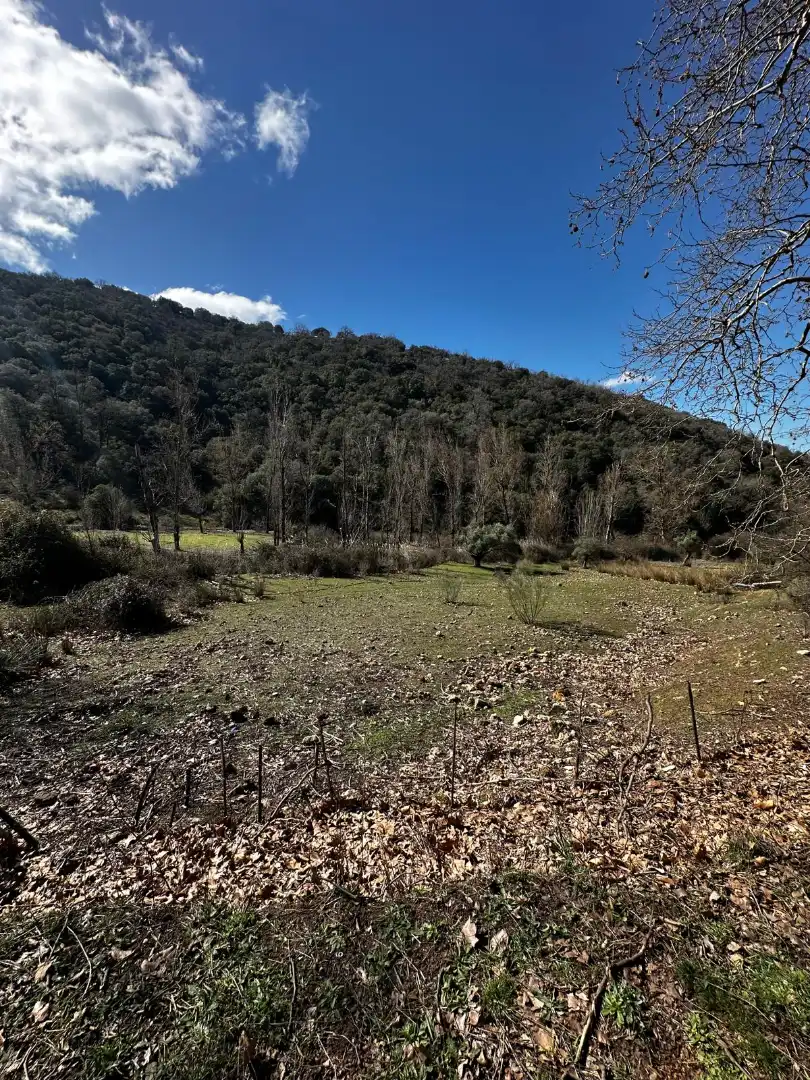 Finca rústica en venda en Valdepeñas de Jaén