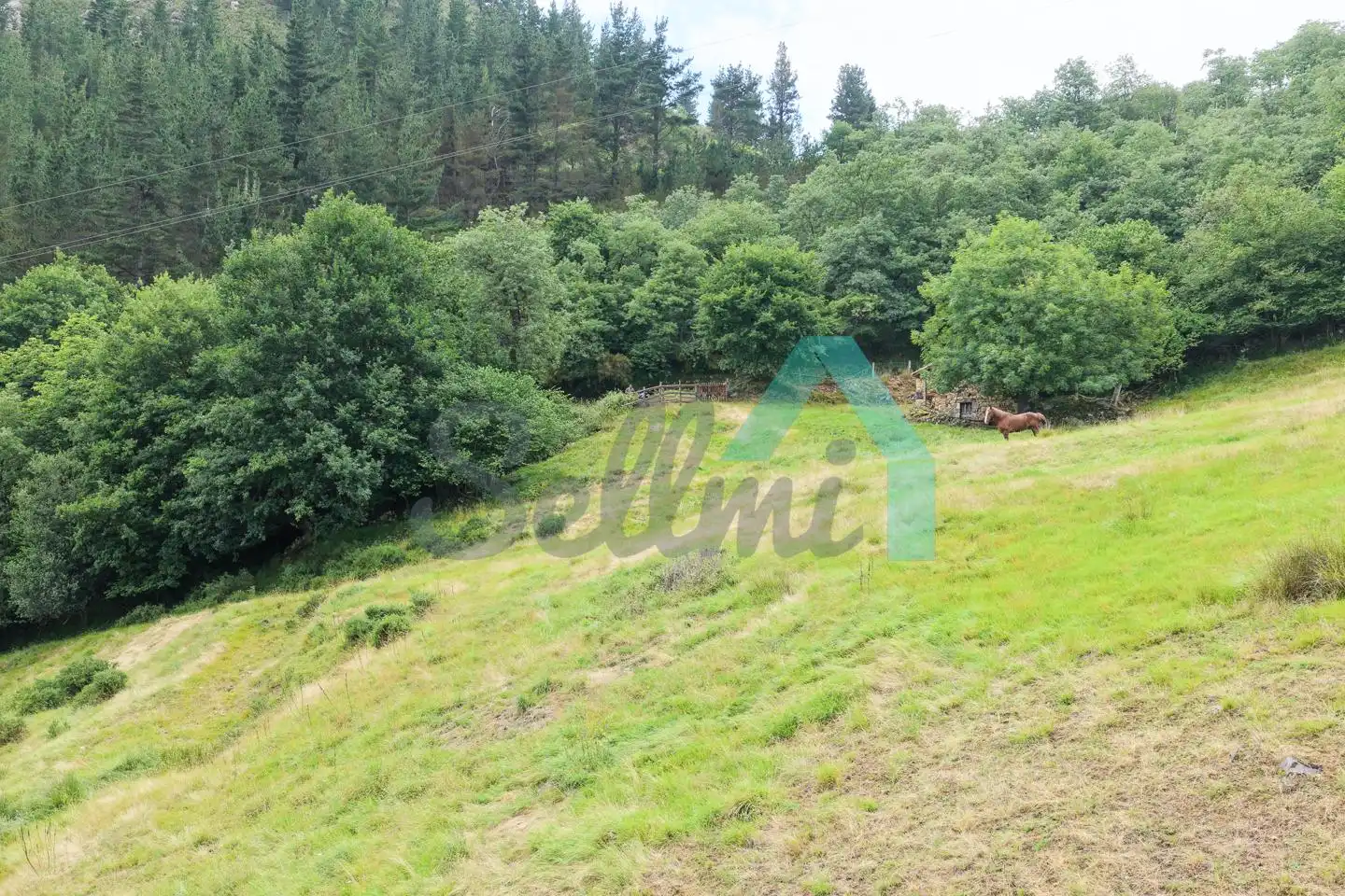 Land for sale in Proaza