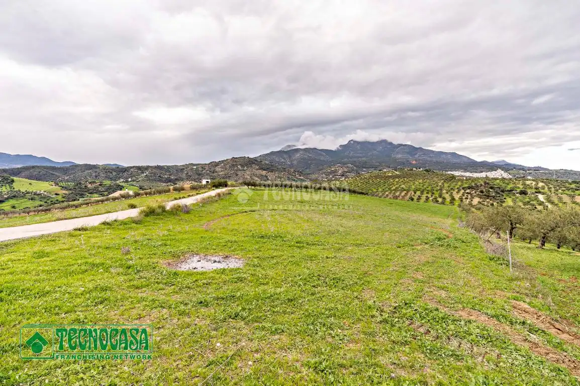 Rural land for sale in Alozaina, imagen 7