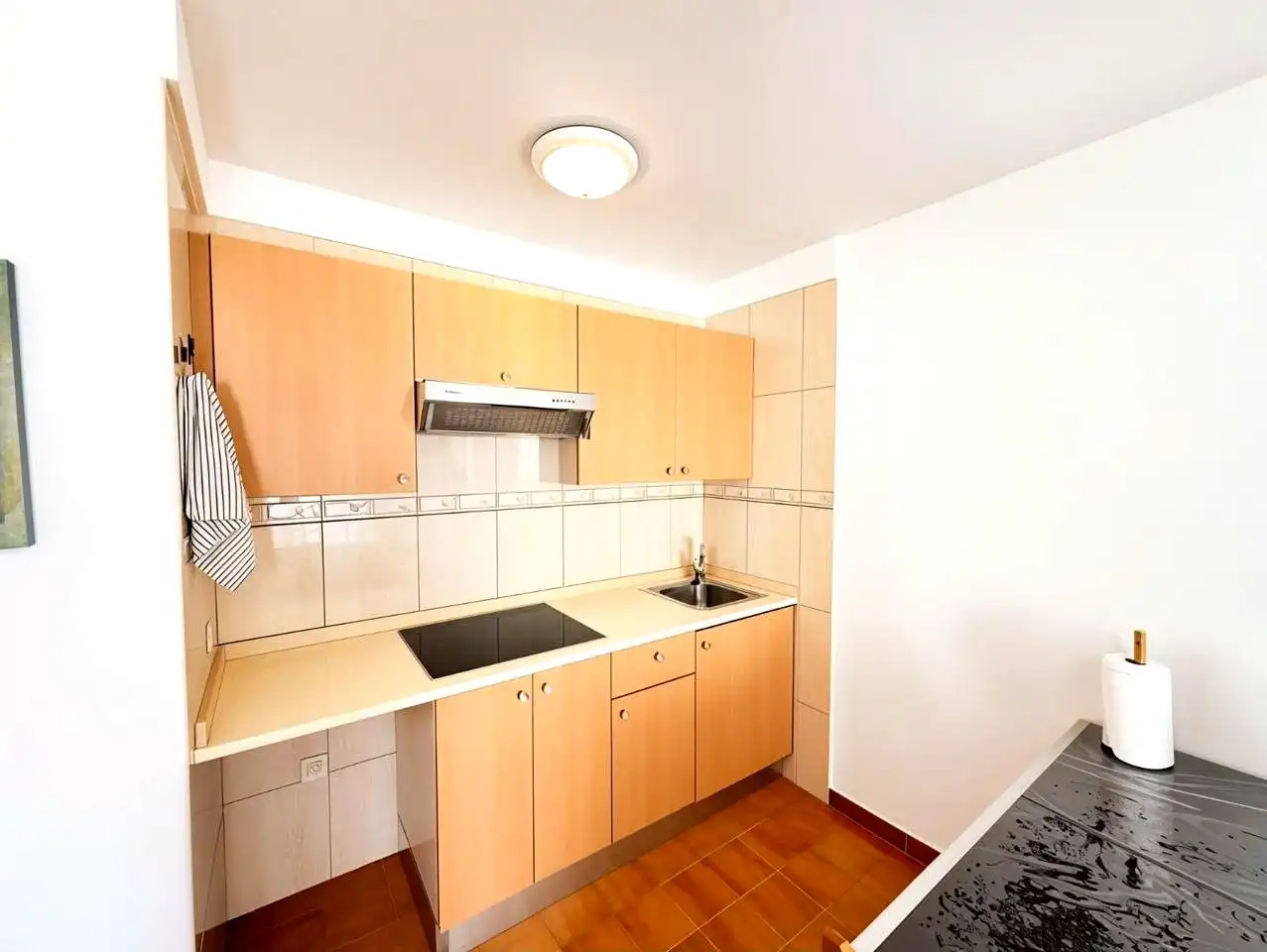 Studio à vendre à Avenida Ernesto Sarti, imagen 14