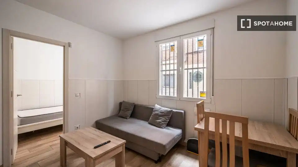 Sala d'estar de Apartament per a compartir en Madrid amb Aire condicionat, Terrassa i Moblat