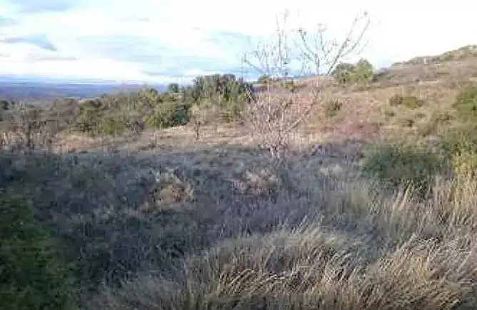 Land for sale in Centro