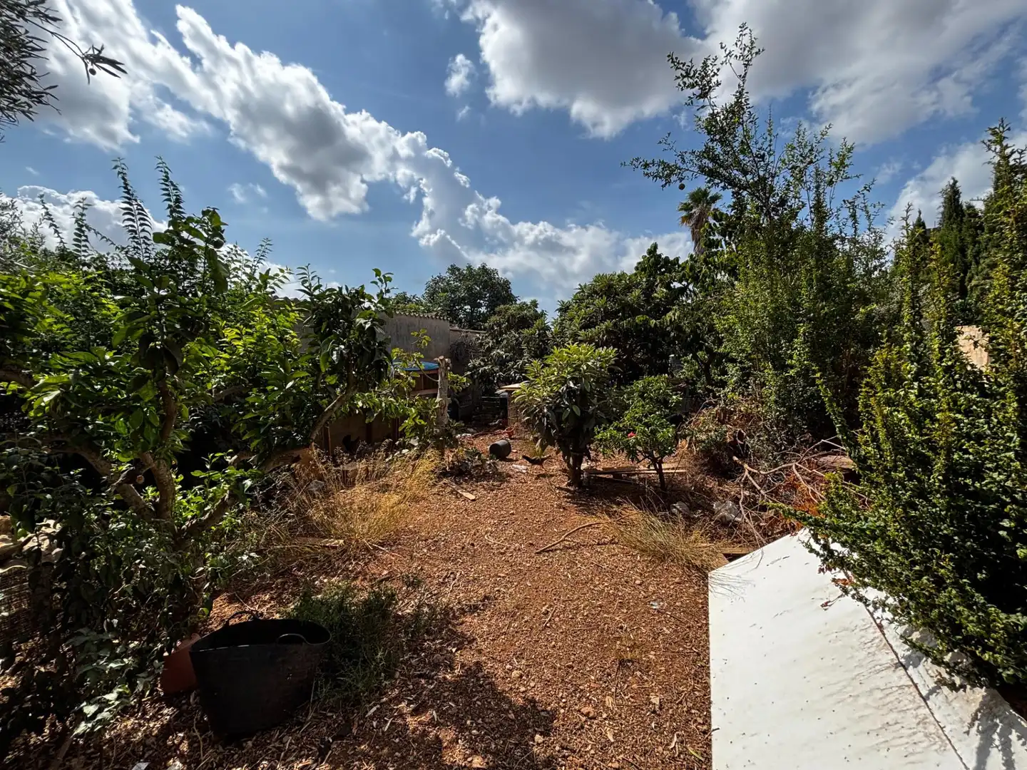 Casa o xalet en venda en  Palma de Mallorca amb Jardí privat i Moblat