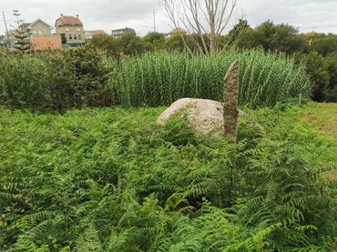 Terreno rustico in vendita a Estrada Matamá Pazo-Comesaña 92