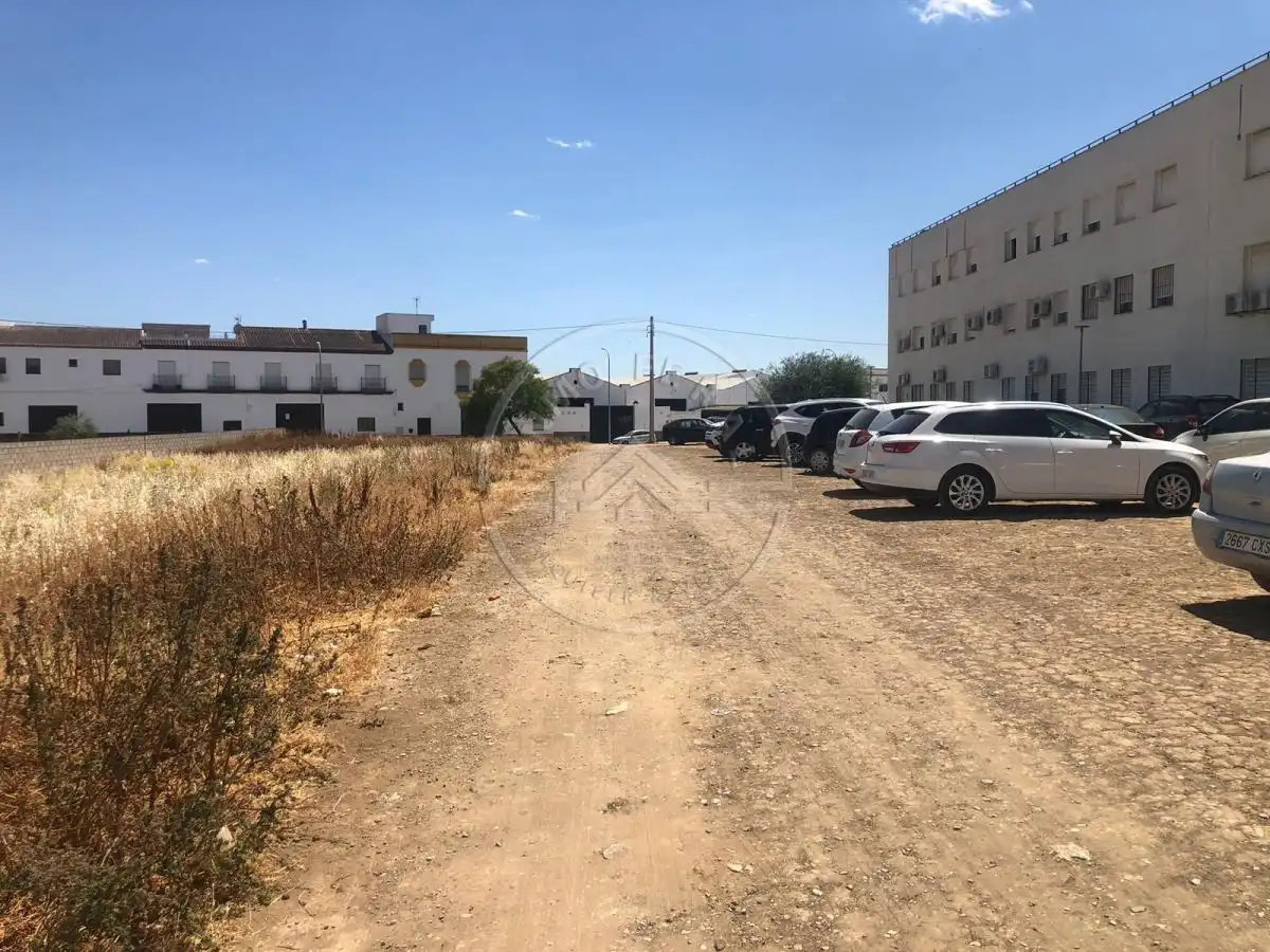 Terreno residenziale in vendita a Marchena, imagen 15