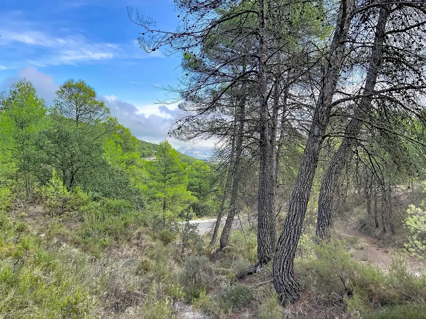 Rural land for sale in Penàguila, imagen 25