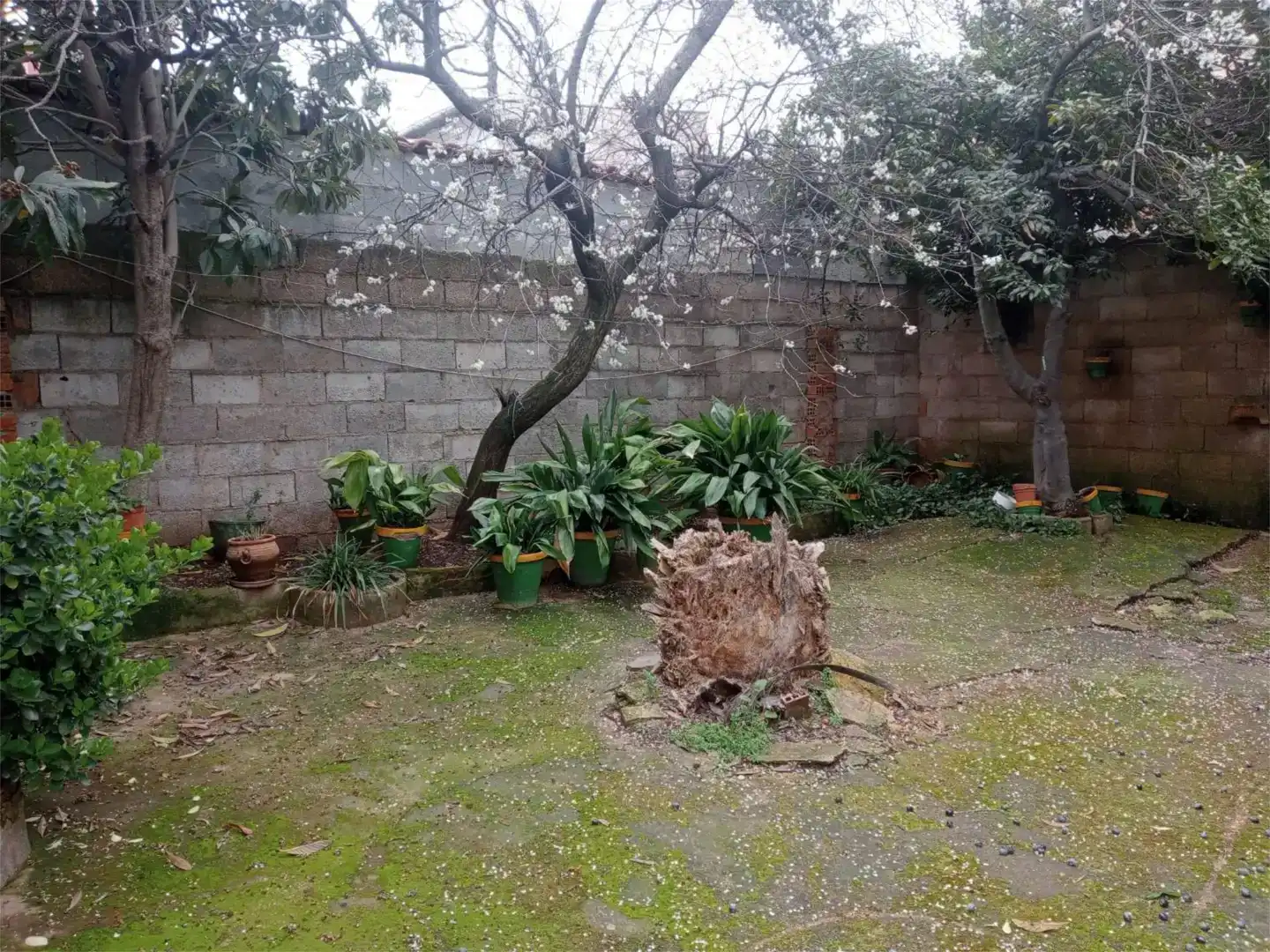 Jardín de Casa adosada en venta en Arroyo del Ojanco, Jaén