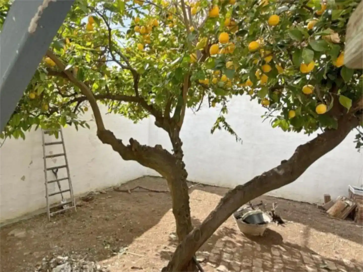 Jardí de Pis en venda en Mollina