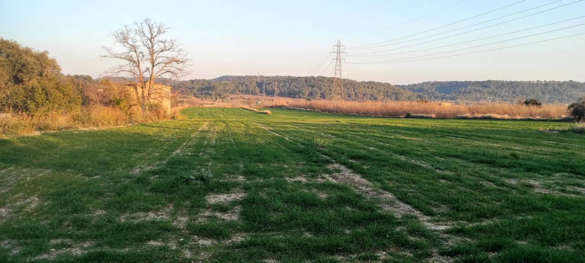 Terreny rústic en venda a Carretera Maso la a Vallmoll 1, imagen 2