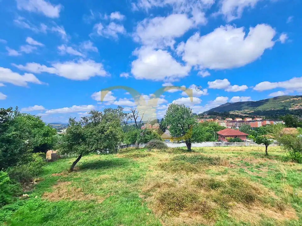 Terreny residencial en venda a El Monticu de Olivares, imagen 8