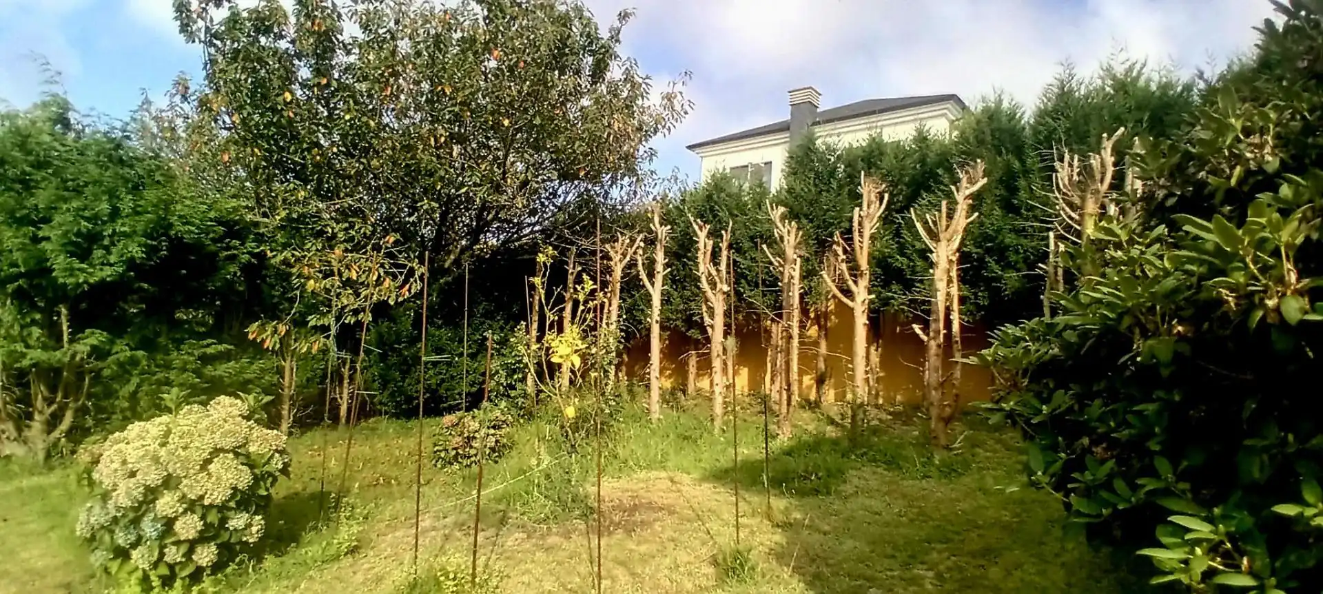 Jardín de Casa o chalet en venta en El Franco  con Calefacción, Jardín privado y Terraza