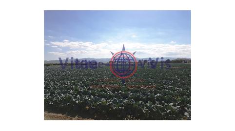 Foto 4 de Residencial en venda a N/a, -1, Tercia, Lorca